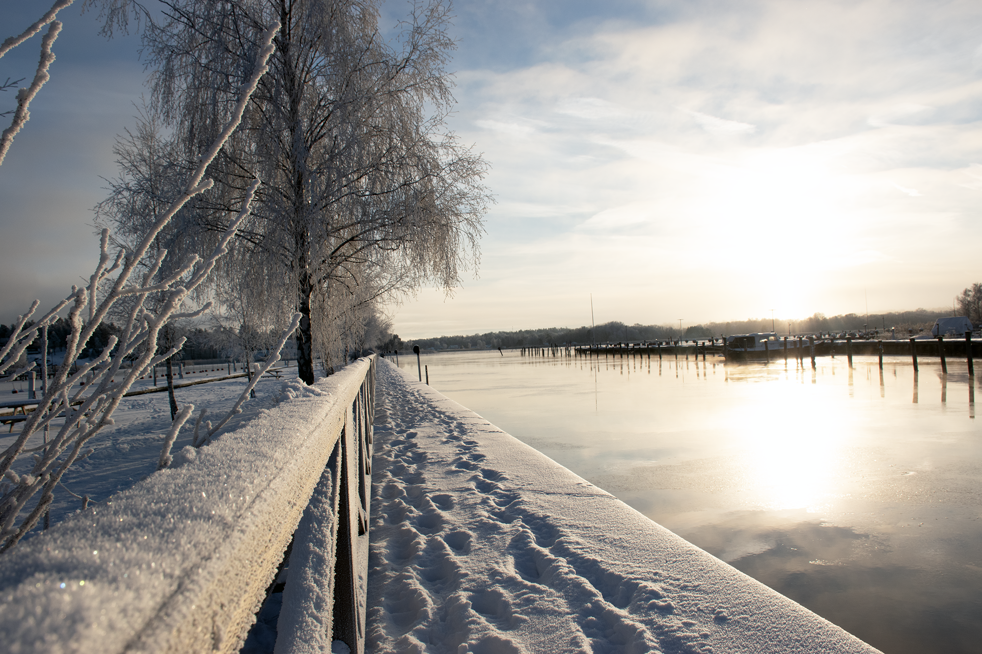 Vinterbild från hamnen i Trosa